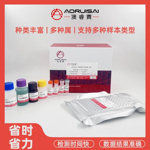 猴胃泌素17(Gastrin17)ELISA试剂盒