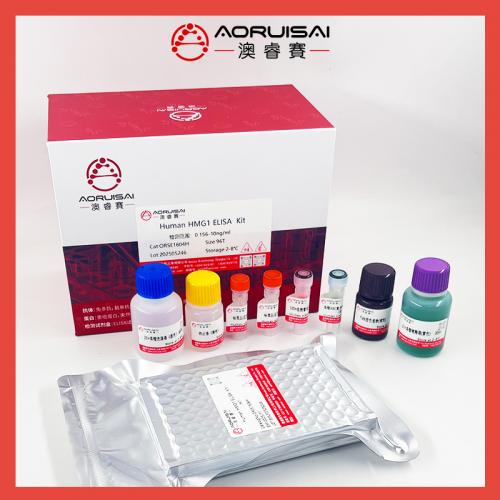人抗硬皮病70抗体(Anti SCL70)ELISA试剂盒