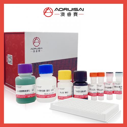 大鼠心肌肌钙蛋白 T （cTnT ）ELISA试剂盒