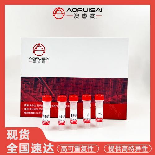 重组抗人CD28单克隆抗体